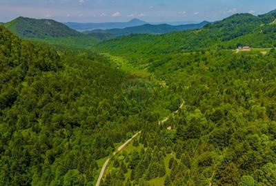 Teren extravilan de 14400 mp, în Cheile Râșnoavei - 2