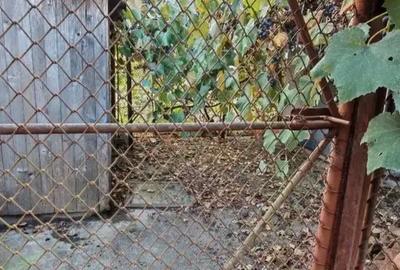 Casă cu 5 camere cu Teren 120 Mp în Teiu - 1