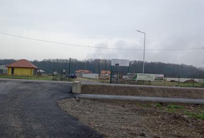 Casă individuală cu 4 camere cu Canalizare în Periș - 21