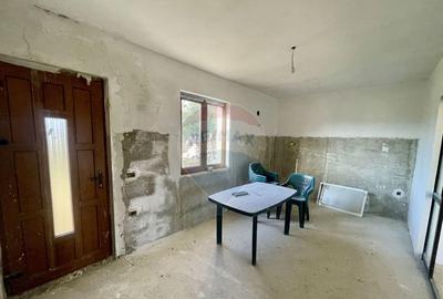 Casa / Vila in Tifesti - 8