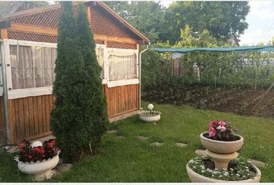 Casă cu 3 camere cu Teren 500 Mp în Central - 3