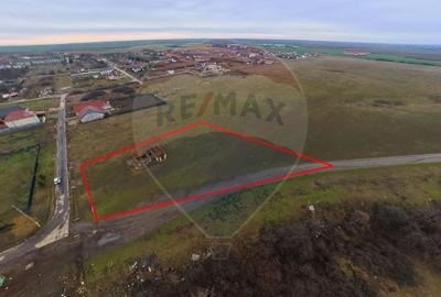 Teren Construcții intravilan de 2651 mp, în Frumușeni - 2