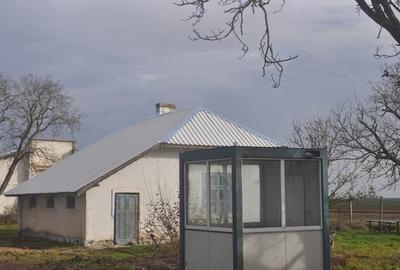 Spațiu industrial, în Ceamurlia de Jos - 2