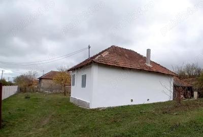 Casă cu 3 camere cu Teren 1350 Mp în Cervenița - 1