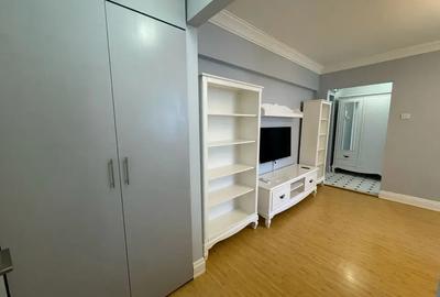 Apartament cu 2 camere semidecomandat, mobilat în Amzei - 15