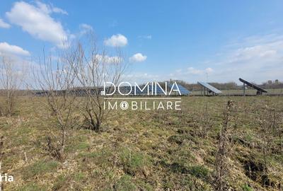 Teren de 978 mp, în Drăguțești