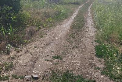 Teren de 808 mp, în Berceni