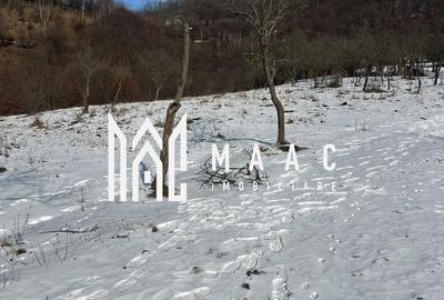 Teren de vânzare, 7750 mp I Orientare sudică I Caineni - 1