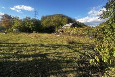 Spațiu comercial, în Doicești - 2