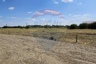 Teren de 490 mp, în Frumușani - 4