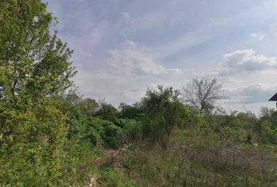 Teren intravilan suprafata 607 mp, zona Bariera Bucuresti, P - 11