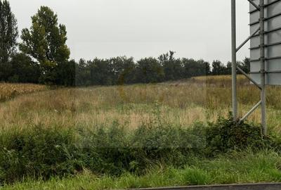 Teren intravilan - Cartier Stupini - 4