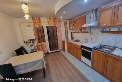 Apartament cu 2 camere decomandat în Beba Veche - 6