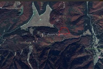 Teren de 69450 mp, în Arefu - 2