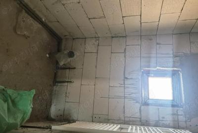 Casă cu 3 camere în Fibiș - 4