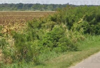 Teren de 219413 mp, în Florești - 6