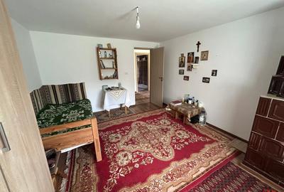 Casă cu 6 camere cu Teren 3426 Mp în Vrâncioaia - 18