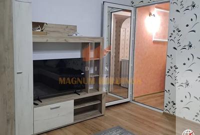 Apartament cu 2 camere semidecomandat, mobilat în Banat - 14