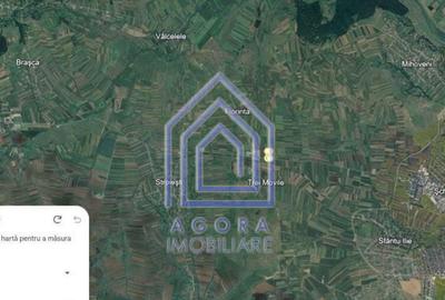 Teren de 10 mp, în Central