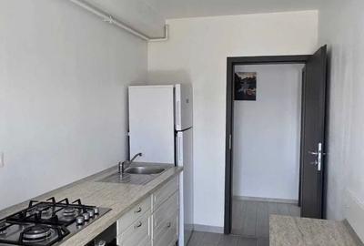 Apartament cu 2 camere decomandat, mobilat în Drumul Taberei - 4