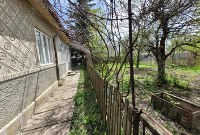 Casă cu 4 camere în Bordeasca Nouă - 5