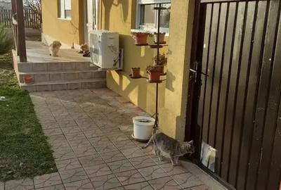 Casa si teren langa Oradea si Baile Felix - 13