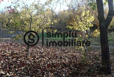 Teren Intravilan Central Ghercesti - 2