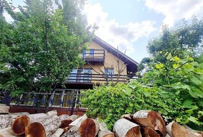 Rezidenta mobilata si echipata, cu lumina naturala, verdeata, vedere munte - 15