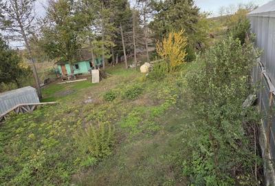 Teren intravilan 9970 mp , com. Chirnogi, jud. Calarasi (situat la 50-60 km de Bucuresti) - 7