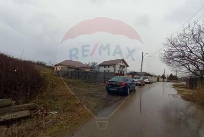 Teren de vanzare in Pielesti - 3