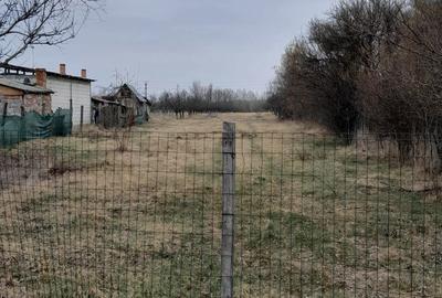 Teren de 3687 mp, în Poiana Lacului