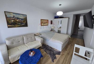 Studio modern cu vedere superba spre munti - in Cartierul DaVinci, - 6