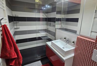 Apartament cu 2 camere semidecomandat în Dosu Bricii - 3