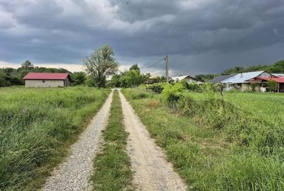 Teren intravilan langa pădure 1260 mp , deschidere 20 ml Prahova -Misl - 12