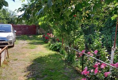 Casă cu Teren 4000 Mp în Radomirești - 7