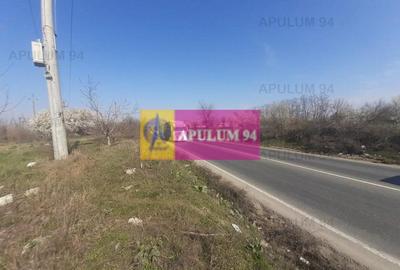 Teren Construcții intravilan de 4800 mp, în Glina - 12