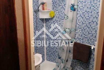 Casă cu 2 camere în Cisnădioara - 9