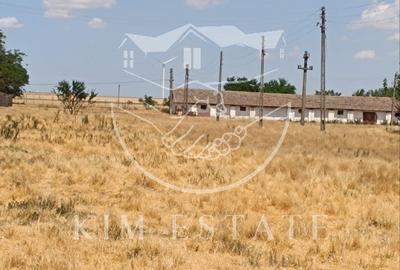Ferma Pantelimon 10 hectare - 4