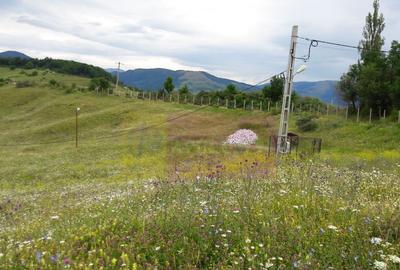 Teren de 9037 mp, în Plaiul Tălii - 3