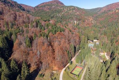 Teren Construcții extravilan de 20000 mp, în Siriu - 9