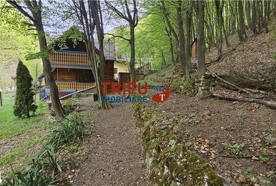 Casă cu 4 camere cu Teren 891 Mp în Ighiu - 18