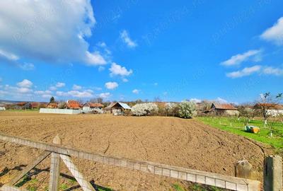 Casa ideala pentru tine si familia ta - 4