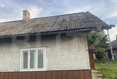 Ocazie unica, duplex - casa batraneasca in Frasin - 4