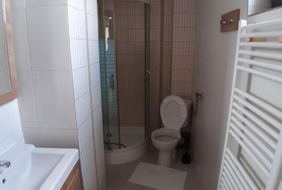 Garsonieră semidecomandată în Bucureștii Noi - 3