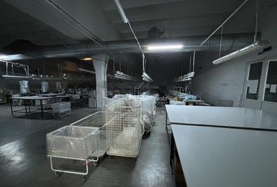 Complex industrial 30130 mp construit - Teren 42558 mp - 20