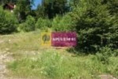 Teren Intravilan de Vanzare Sinaia - 5