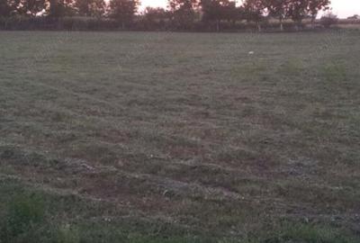 Spațiu comercial, în Cărpiniș - 20