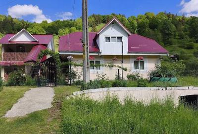 Casă cu Teren 3344 Mp în Dreptu - 5