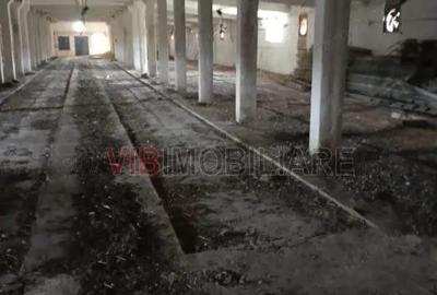 Spațiu comercial, de 2,150 mp, în Orțișoara - 1