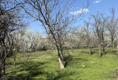 Casă cu 3 camere în Ștefănești - 2